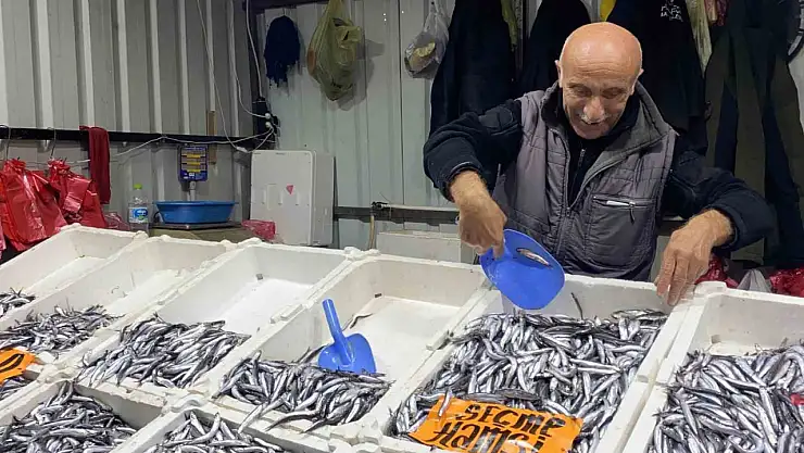 Seçme hamsi 50 TL