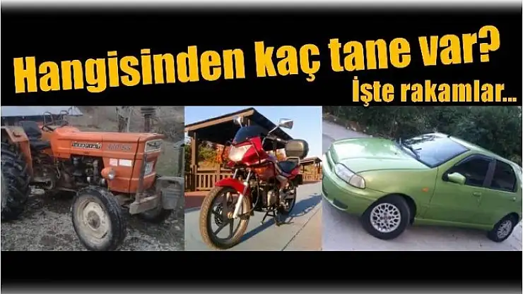 HANGİSİNDEN KAÇ TANE VAR?