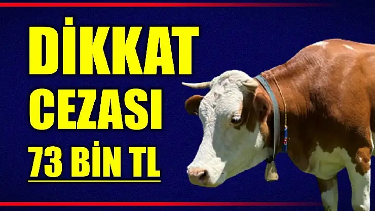 Hayvan yetiştiricileri dikkat