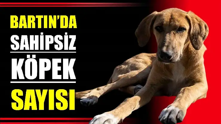 Hepsi tek tek toplanacak