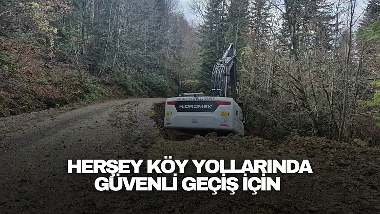 herşey Köy Yollarında  Güvenli Geçiş İçin