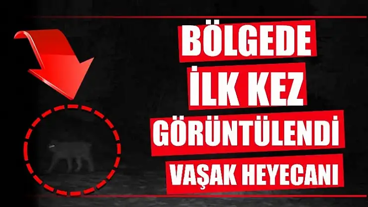 İlk kez görüntülendi
