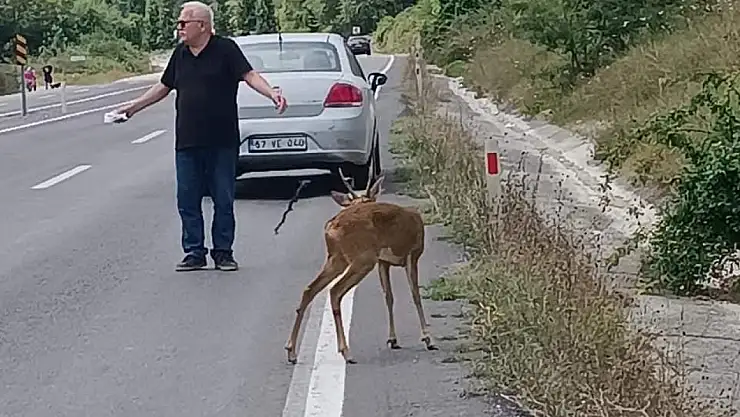 İnsanlık ölmemiş dedirten olay