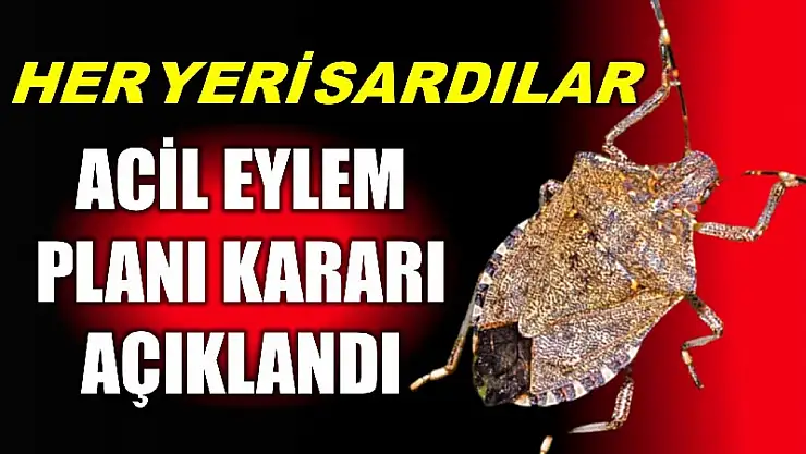 İş başa düştü vatandaş