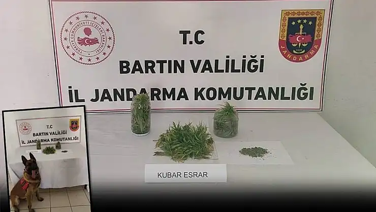 Jandarma ekipleri kubar esrar ele geçirdi