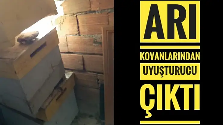 JANDARMANIN DİKKATİNDEN KAÇMADI