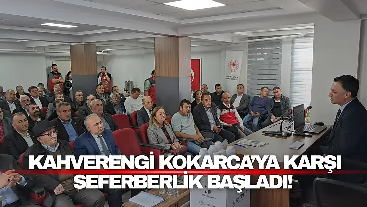 Kahverengi Kokarca'ya Karşı Seferberlik Başladı!