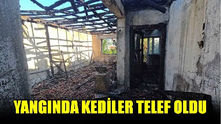 Kiracı gözaltına alındı