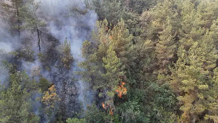 Karabük'te orman yangını 69 saattir sürüyor