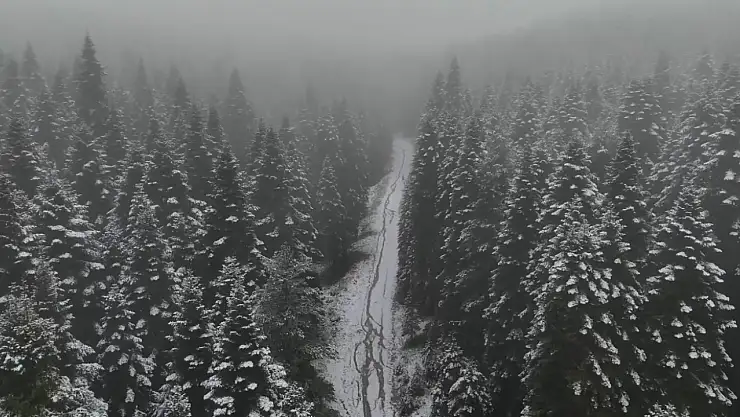 Karabük'ün yüksek kesimleri beyaza büründü