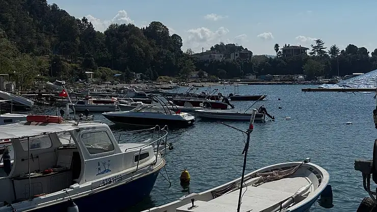 Karadeniz'de bu yıl hamsi beklentisi büyük