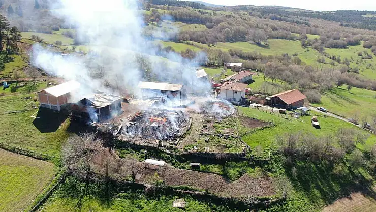 Kastamonu'da elektrik panosu patladı: 3 ev ve 3 ahır küle döndü