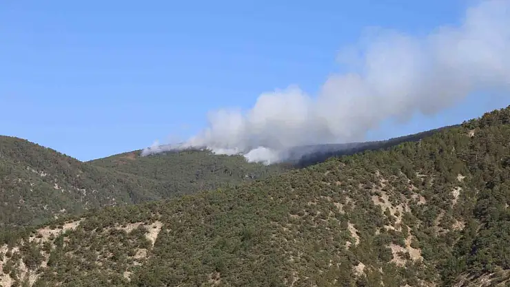 Kastamonu'da orman yangını: Alevlere havadan ve karadan müdahale ediliyor