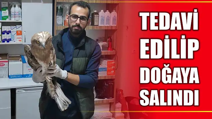 Cide'de yaralı halde bulunmuştu
