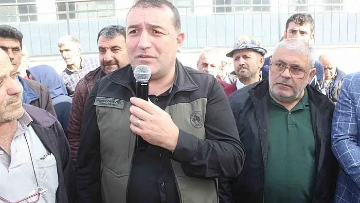 Ücret ödemeyenler ormandan kestane toplayamayacak