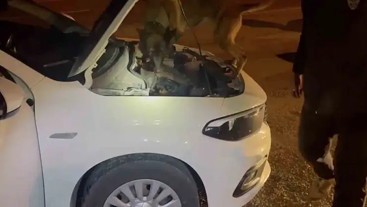 Kastamonu'da uyuşturucu operasyonu: 5 tutuklama