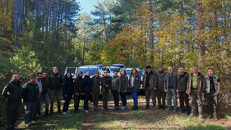 Kastamonu'da yaban hayatı envanteri tamamlandı