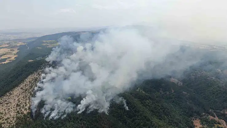 Kastamonu'da orman yangını