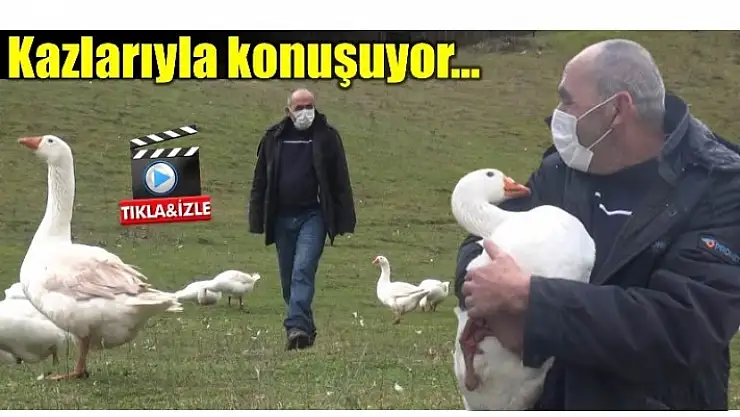 KAZ DEYİP GEÇMEYİN...