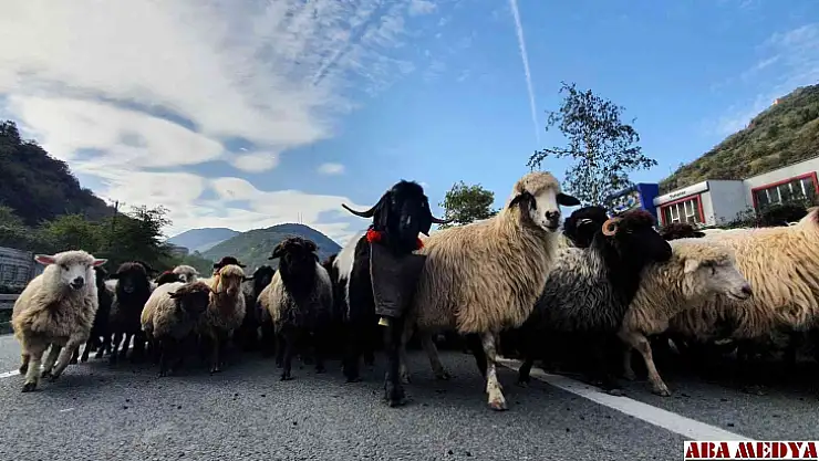 Kdz. Ereğli'de 19 köyde karantina uygulanmaya başladı