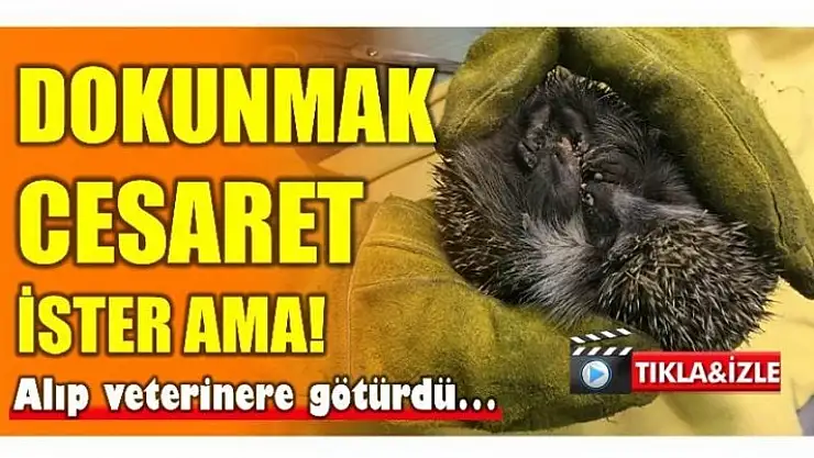 KİMSENİN DOKUNAMAZ AMA!
