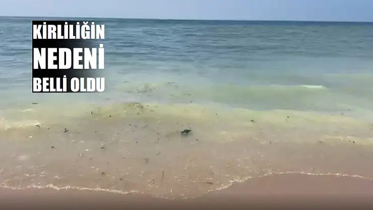Kirliliğin sebebi belli oldu