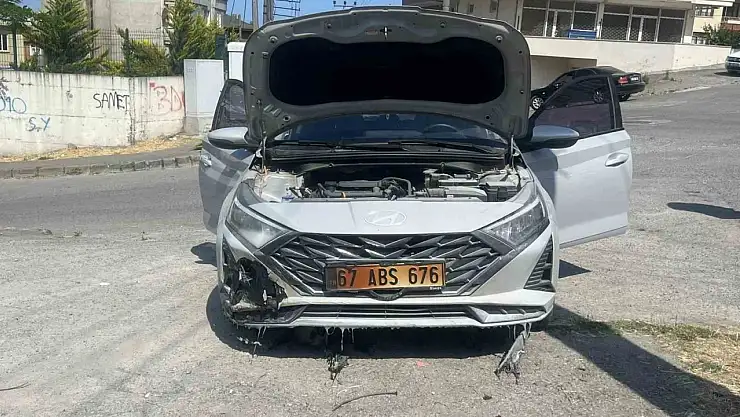 Kopan elektrik telleri otları, otlarda aracı yaktı