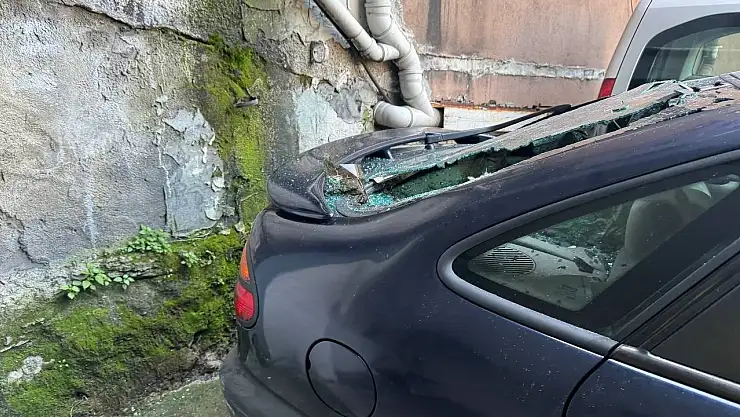 Köpek, beşinci kattan park halindeki aracın üzerine düştü