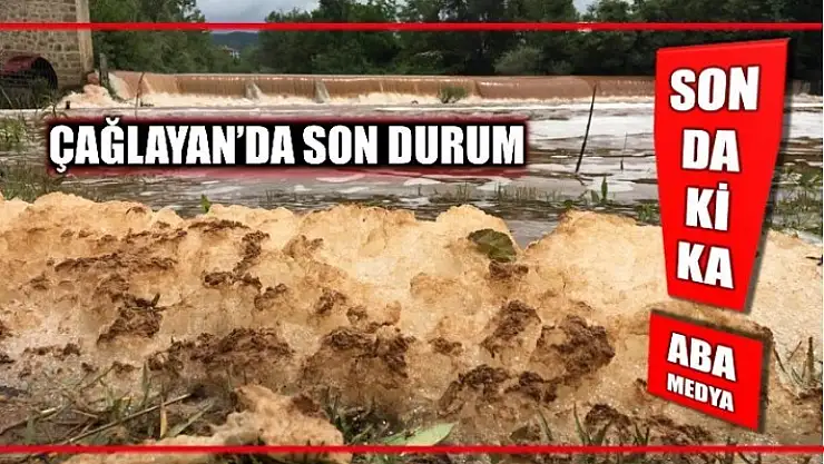 KÖPÜK KATMANLARI OLUŞTU