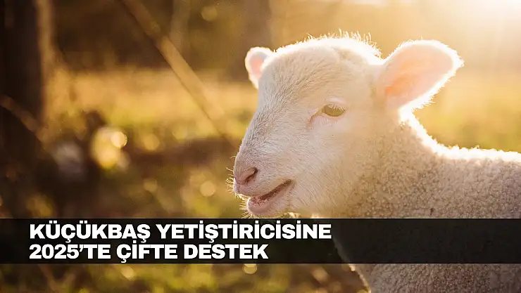 Küçükbaş Yetiştiricisine Çifte Destek