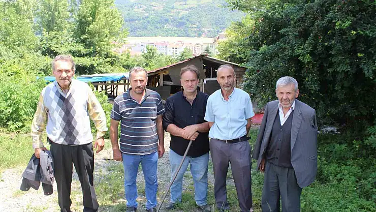 Kurtlar, 350'den fazla koyunu telef etti