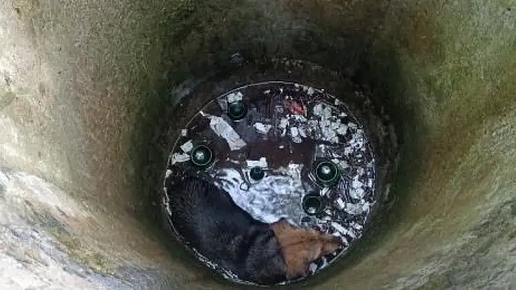 Kuyuya düşen köpek böyle kurtarıldı