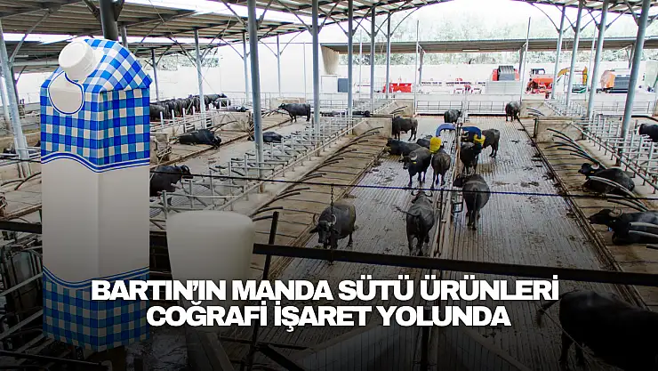 Manda Sütü Ürünleri Coğrafi İşaret Yolunda
