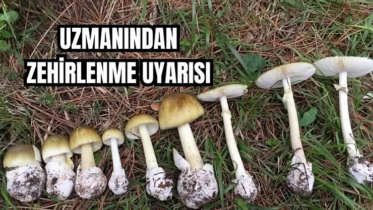 Mantara dikkat!