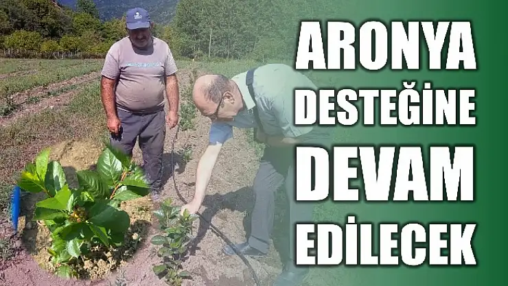 Marjinal tarım alanları değerlendiriliyor