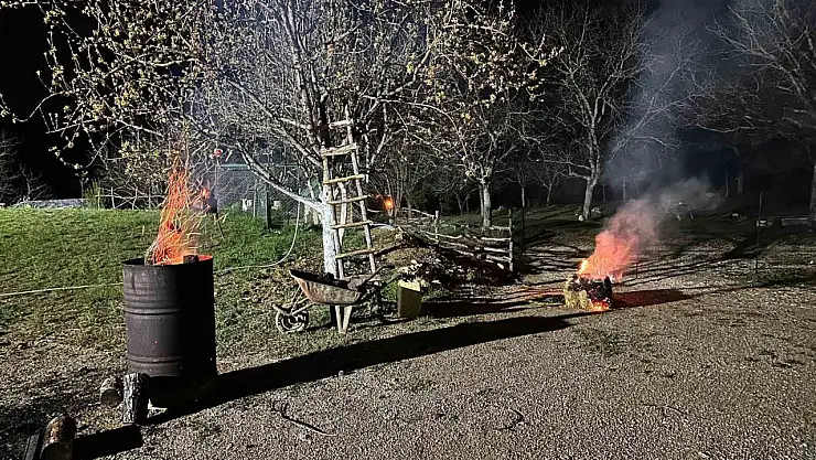 Meyve ağaçlarını zirai dona karşı ateş yakarak koruyor
