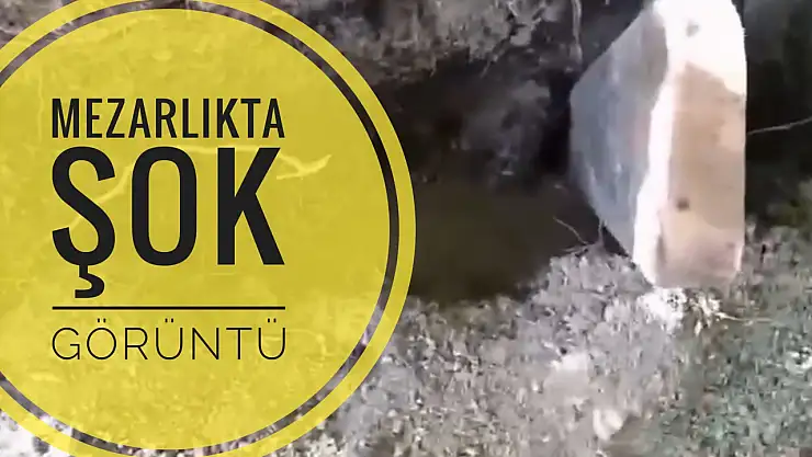 Mezarlıkta şok görüntü