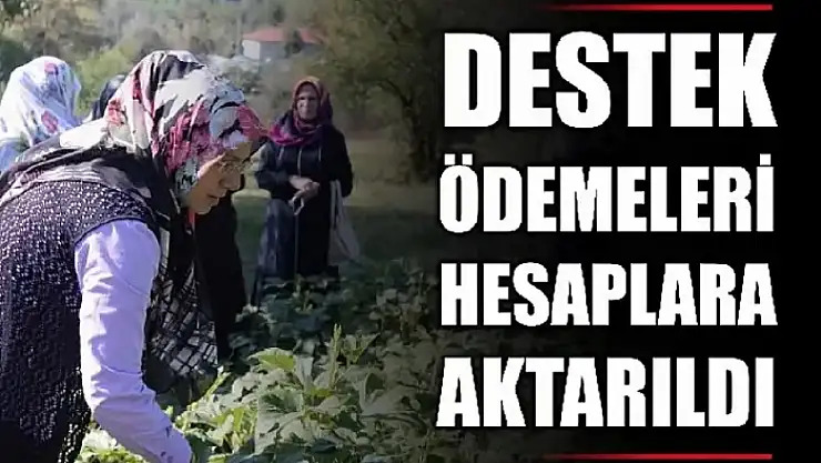 Milyonlarca lira ödeme yapıldı