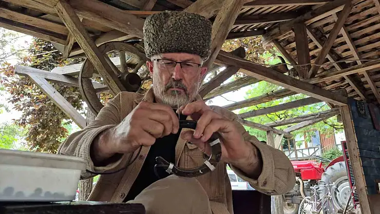 Nallar sanat eseri oldu