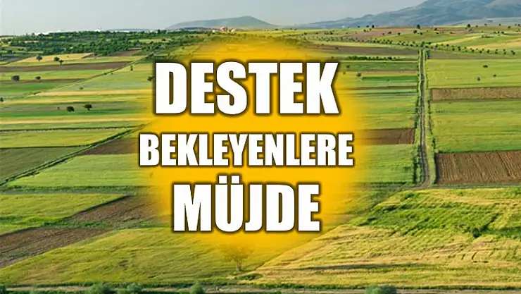 Ödemeler hesaplarda