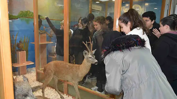 Öğrenciler hayvan müzesini ilgi ile gezdi