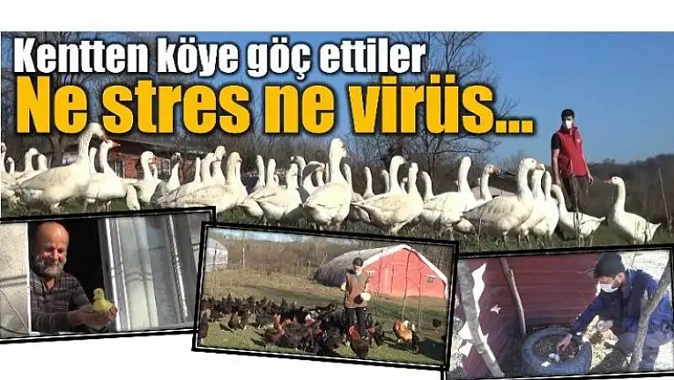 ONLARA NE STRES VAR NE DE VİRÜS...