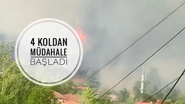 Orman yangını