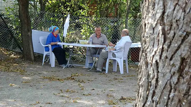 Orman yangınında 60 yıl sonra aynı acıyı yaşadı