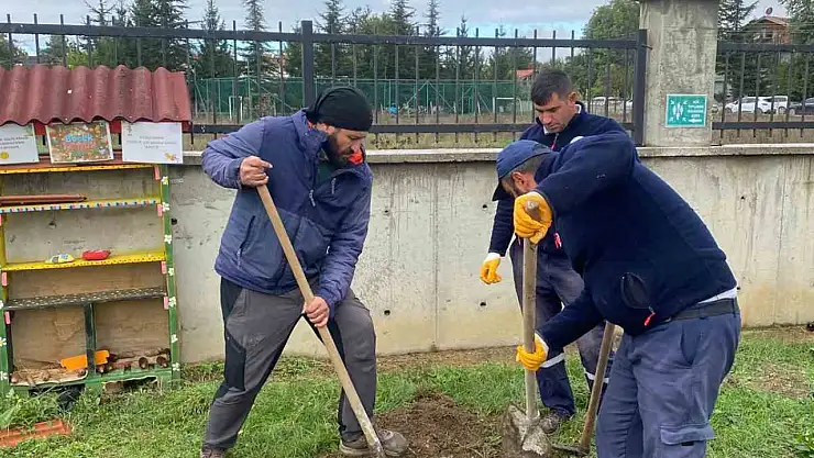 Orman yangınları sonrası yola çıktı, 71. fidanını Bolu'da dikti