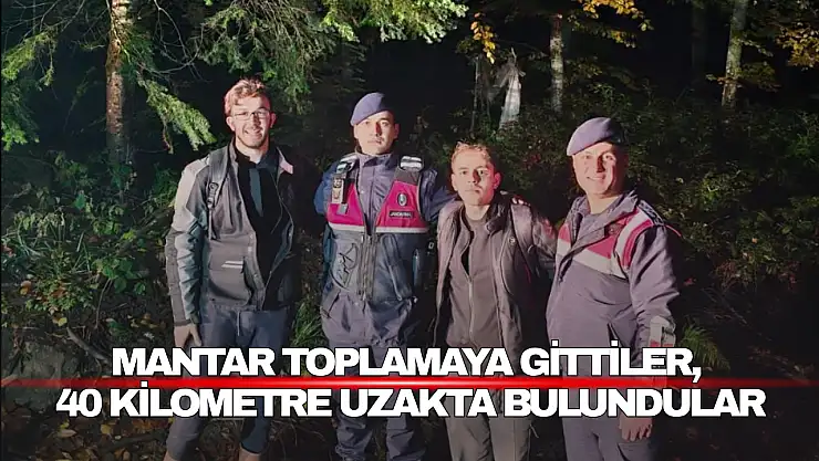 Ormanda Kayıp Saatler