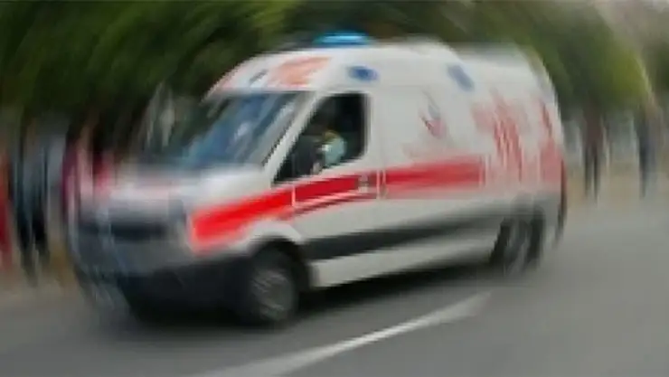 Ormanda kesim yapan köylü hastanelik oldu