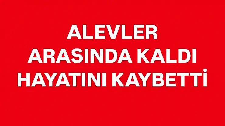 Otları yakmak istedi, hayatını kaybetti