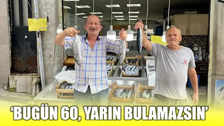 Palamut yüz güldürüyor