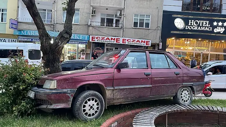 Park halindeyken haraket eden otomobil ağaca çarparak durabildi